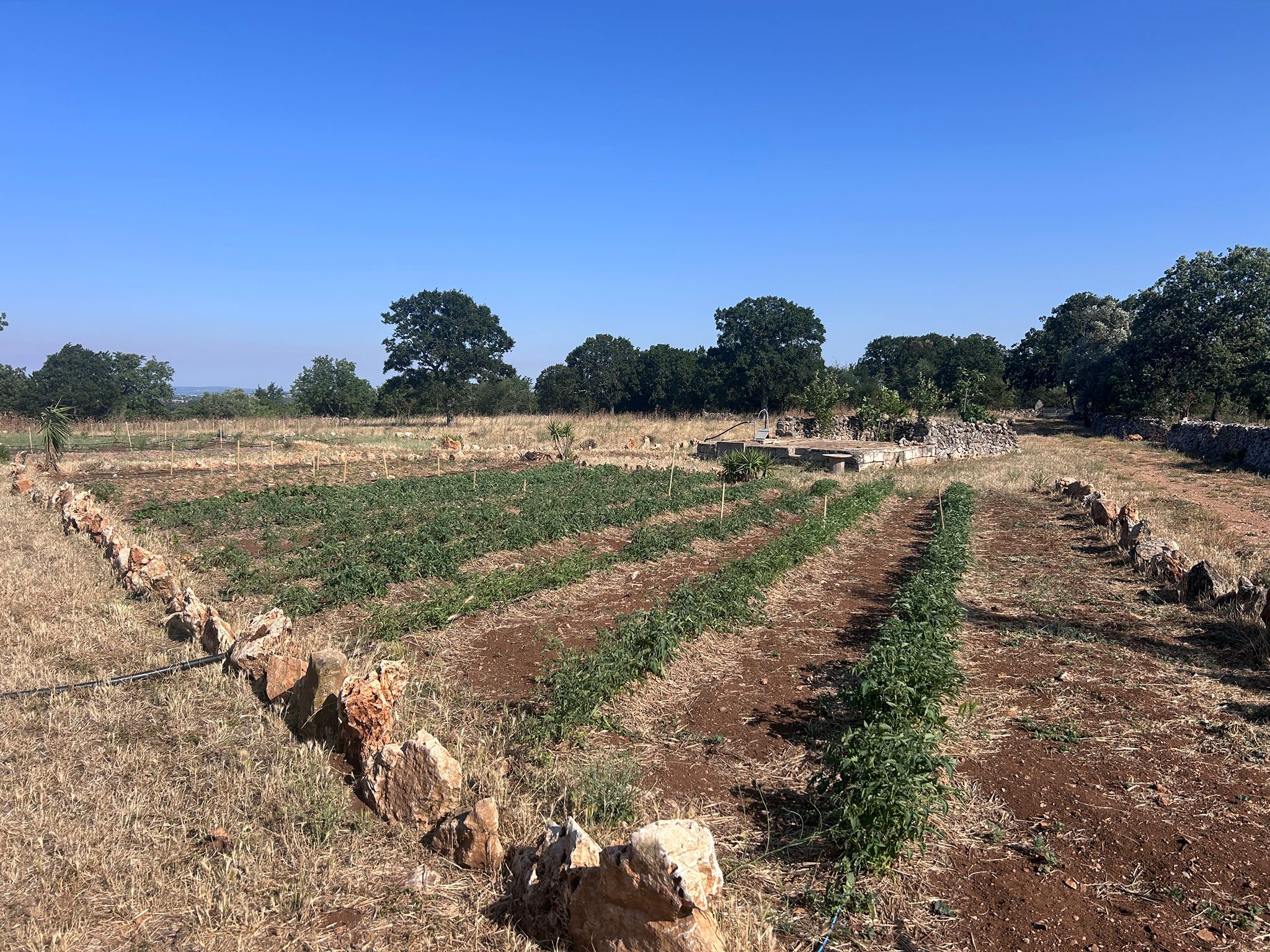 Orto della masseria