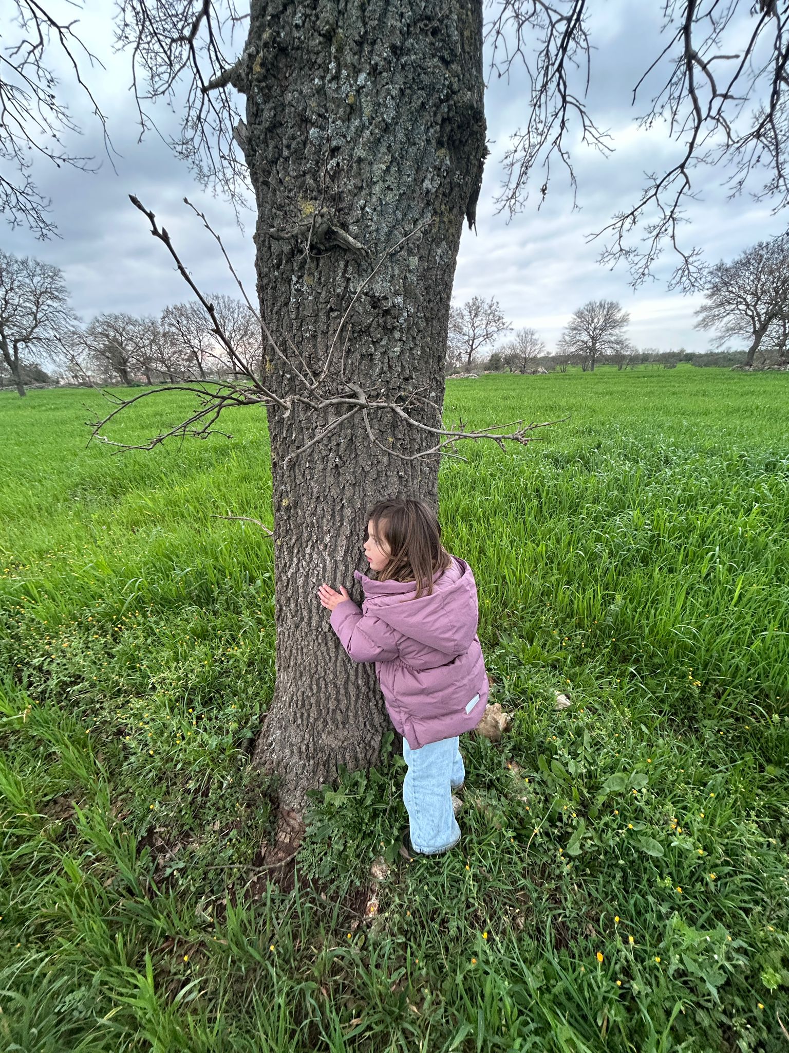 Bambina sull'albero